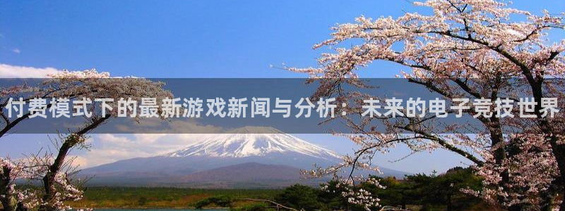 高德娱乐登陆测速：付费模式下的最新游戏新闻与分析：未来的电子