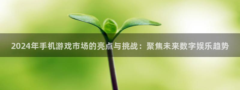 高德娱乐app下载：2024年手机游戏市场的亮点与挑战：聚焦