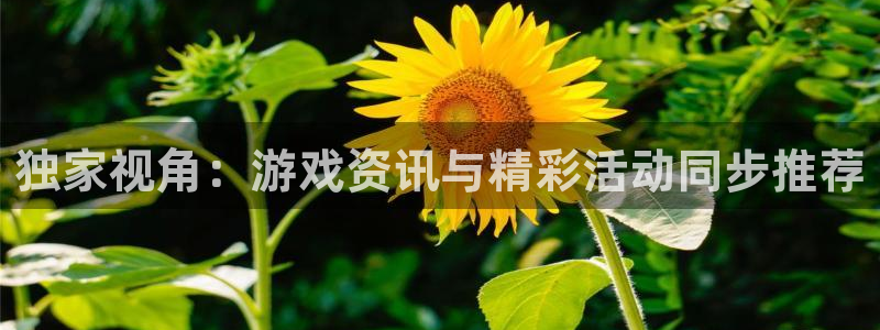 手机版高德娱乐客户端下载：独家视角：游戏资讯与精彩活动同步推