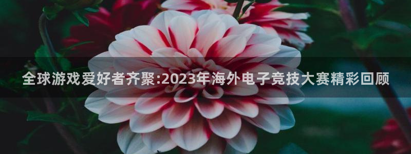 高德娱乐平台登录：全球游戏爱好者齐聚:2023年海外电子竞技