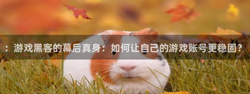 高德娱乐升级5994月：：游戏黑客的幕后真身：如何让自己的游